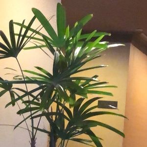 Meet your Posher, Daisy